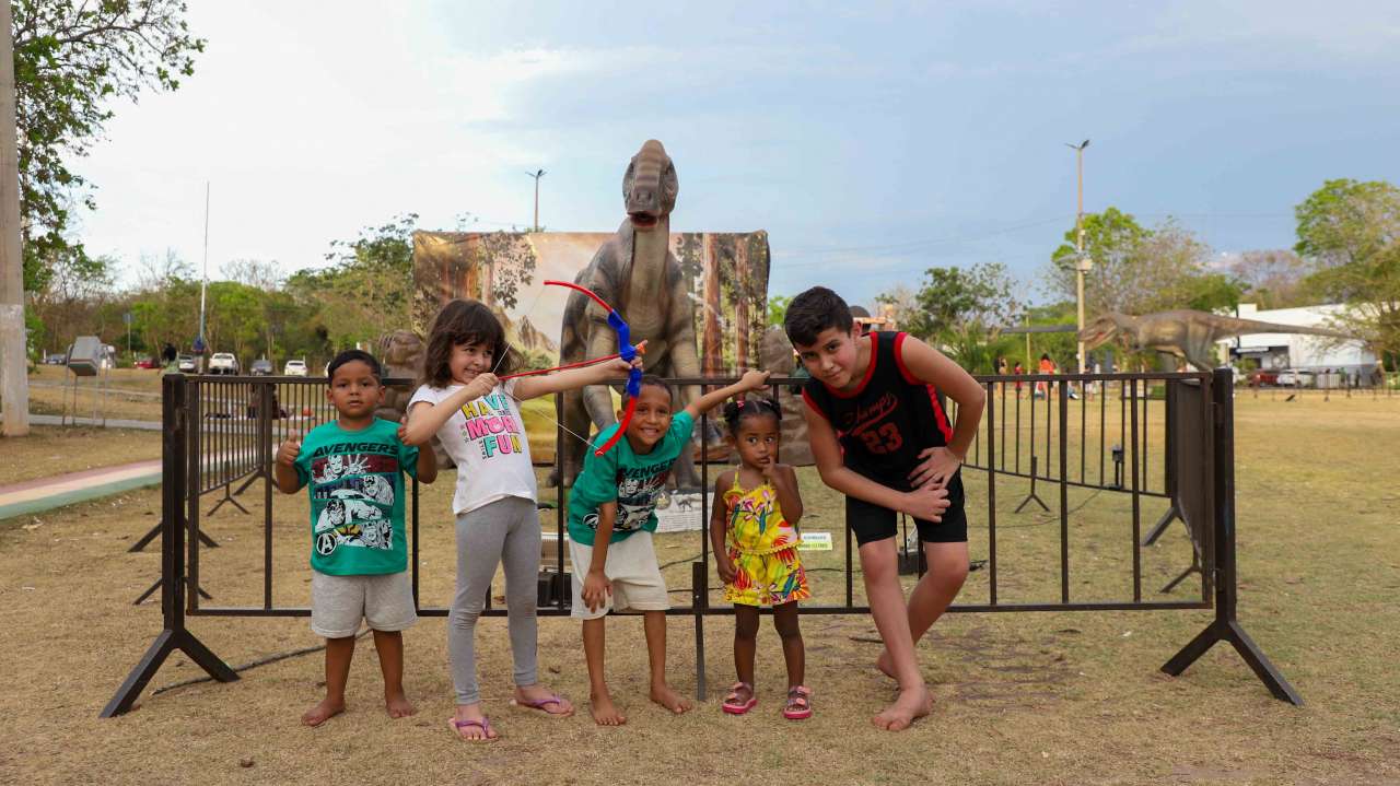 Foto 5 da galeria
